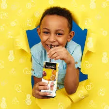 Fruitville 250ml 100% Nature
