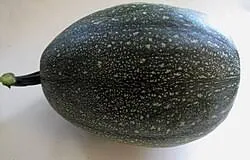 Umwungu 1pc